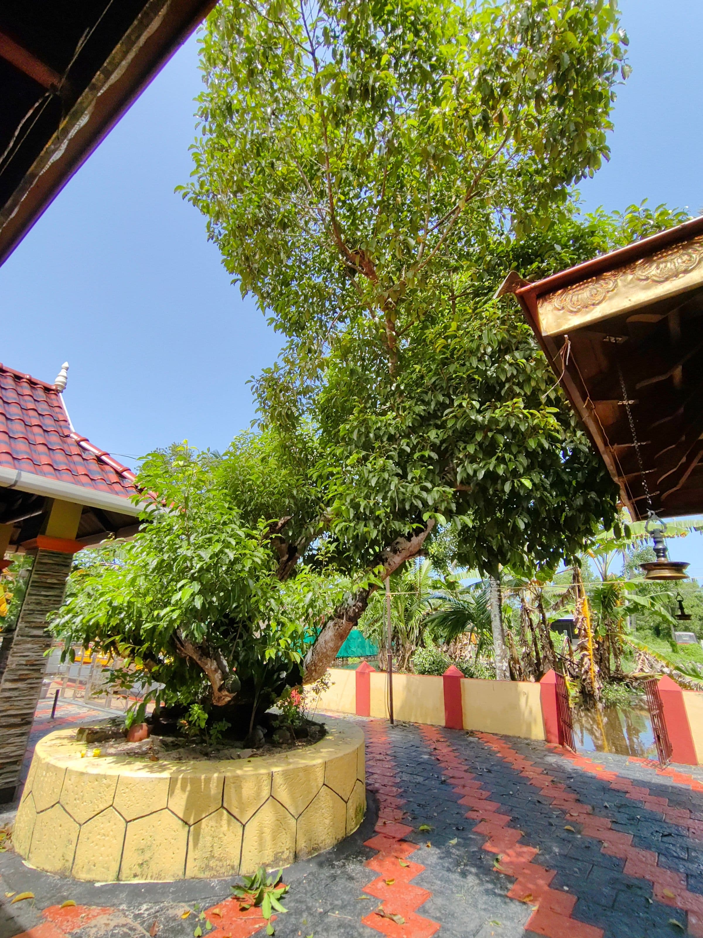 കൊപ്പാറ ആനവേലി ശ്രീ ഭദ്രകാളി ക്ഷേത്രം - temple