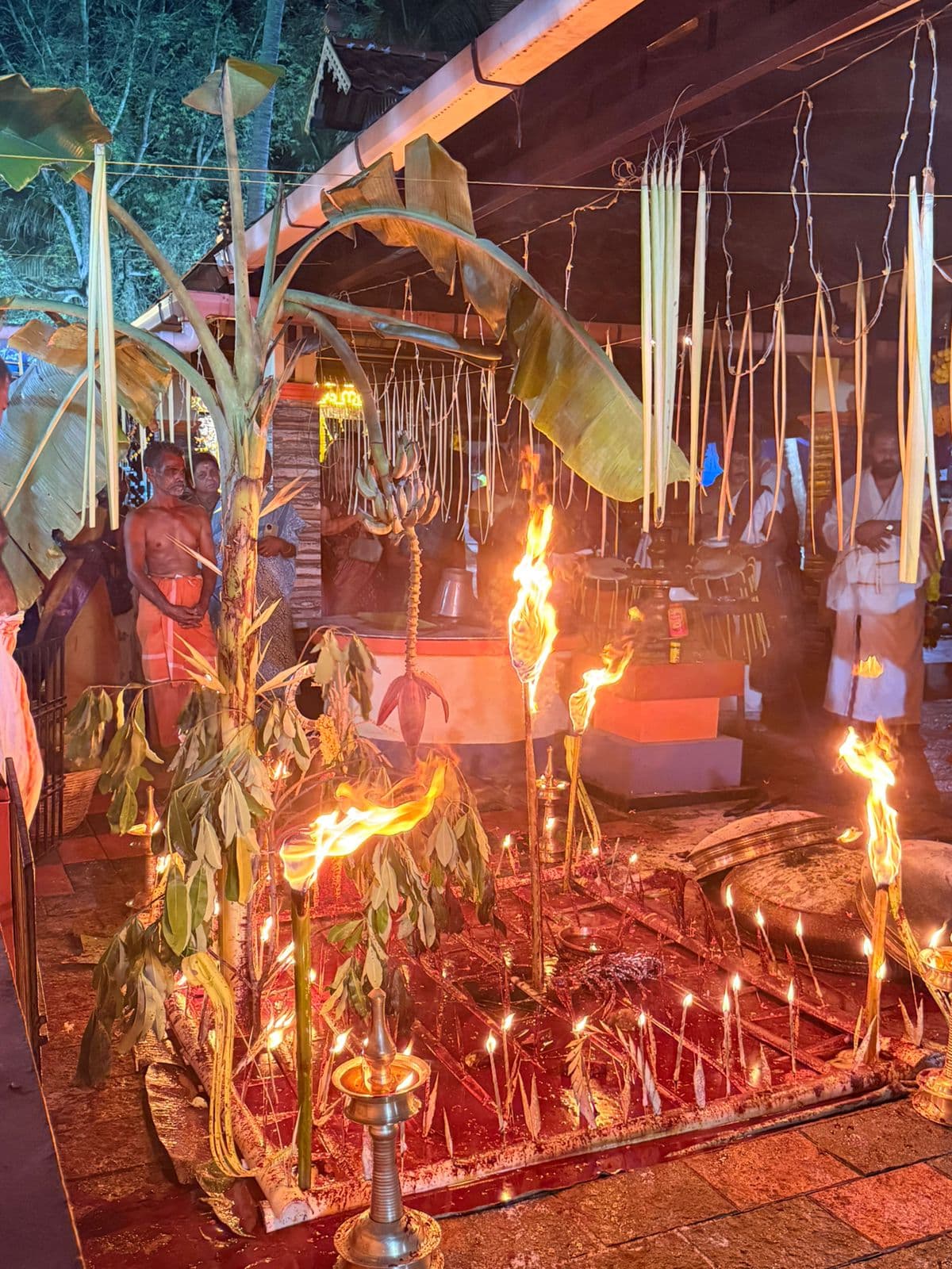 കൊപ്പാറ ആനവേലി ശ്രീ ഭദ്രകാളി ക്ഷേത്ര ദൃശ്യം