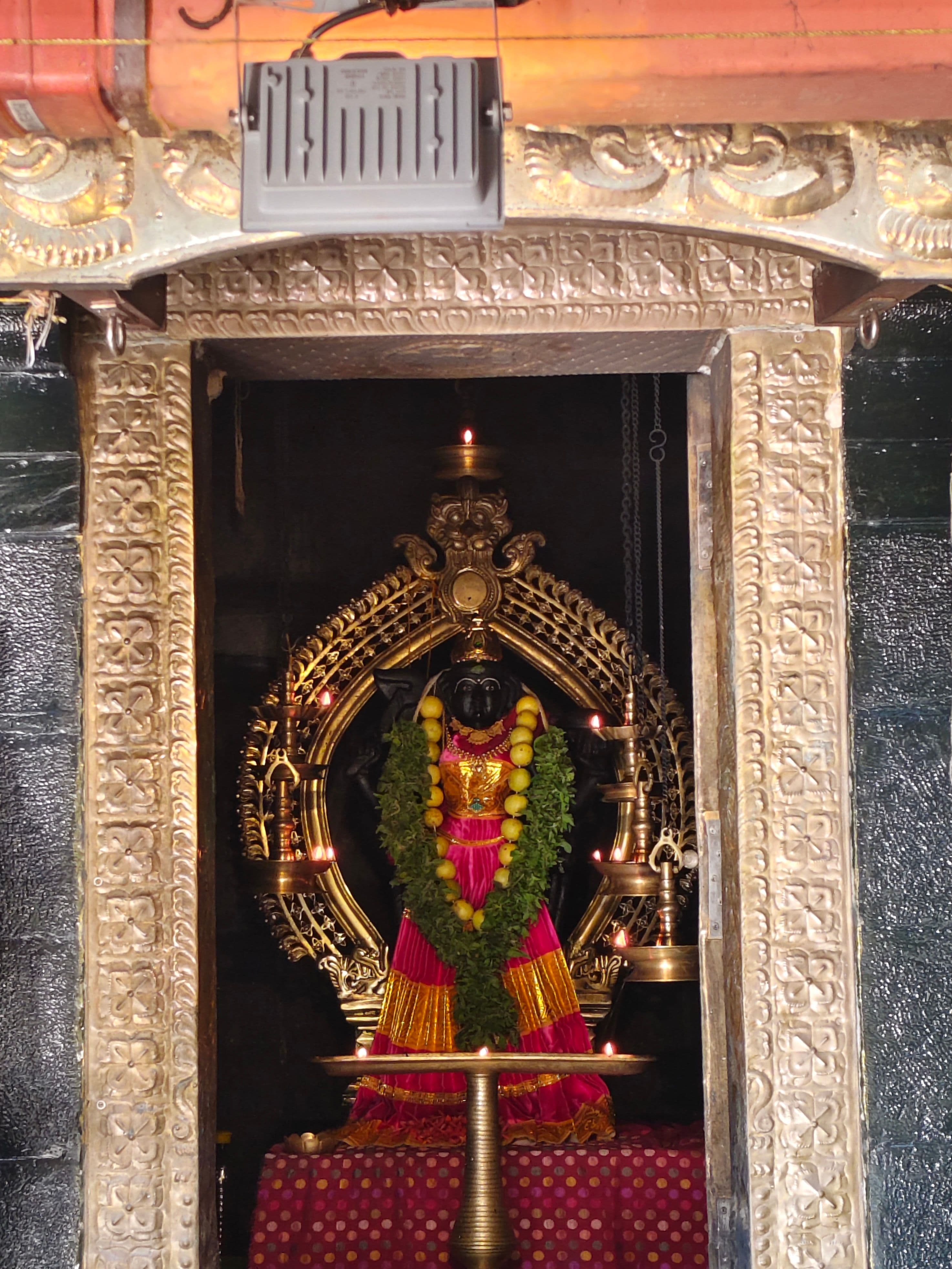 പ്രത്യേക ദേവീ പൂജ